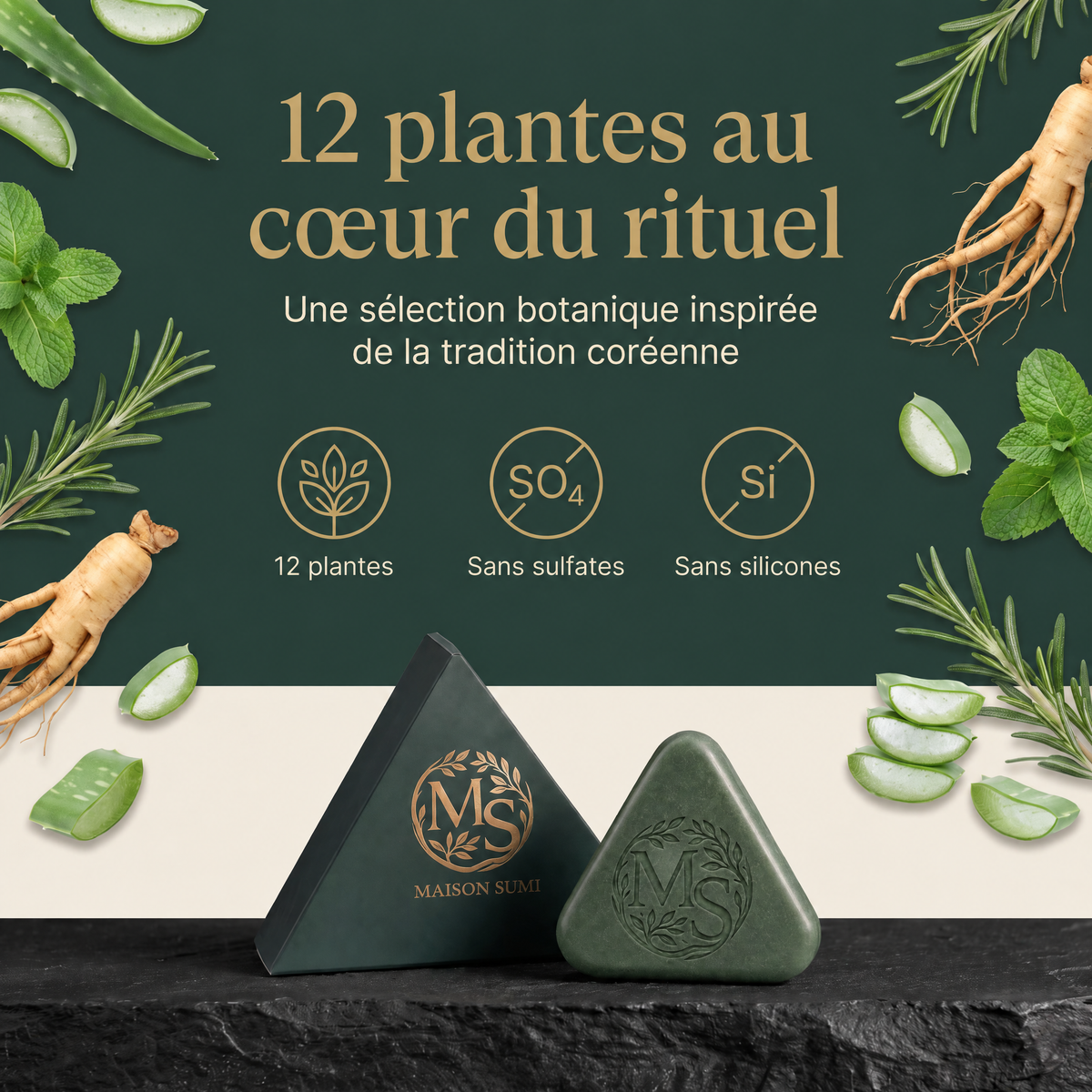 Savon Sumi Anti-Chute| 12 Plantes Coréennes Naturelles