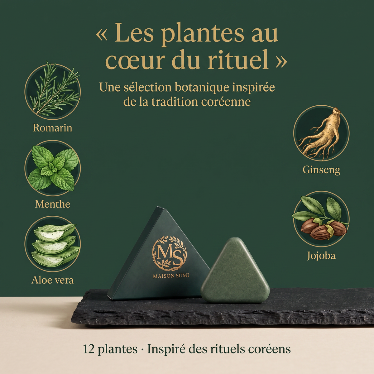 Savon Sumi Anti-Chute| 12 Plantes Coréennes Naturelles