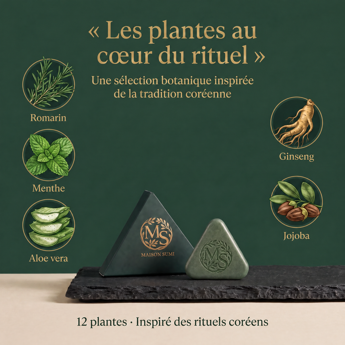 Savon Sumi Anti-Chute| 12 Plantes Coréennes Naturelles