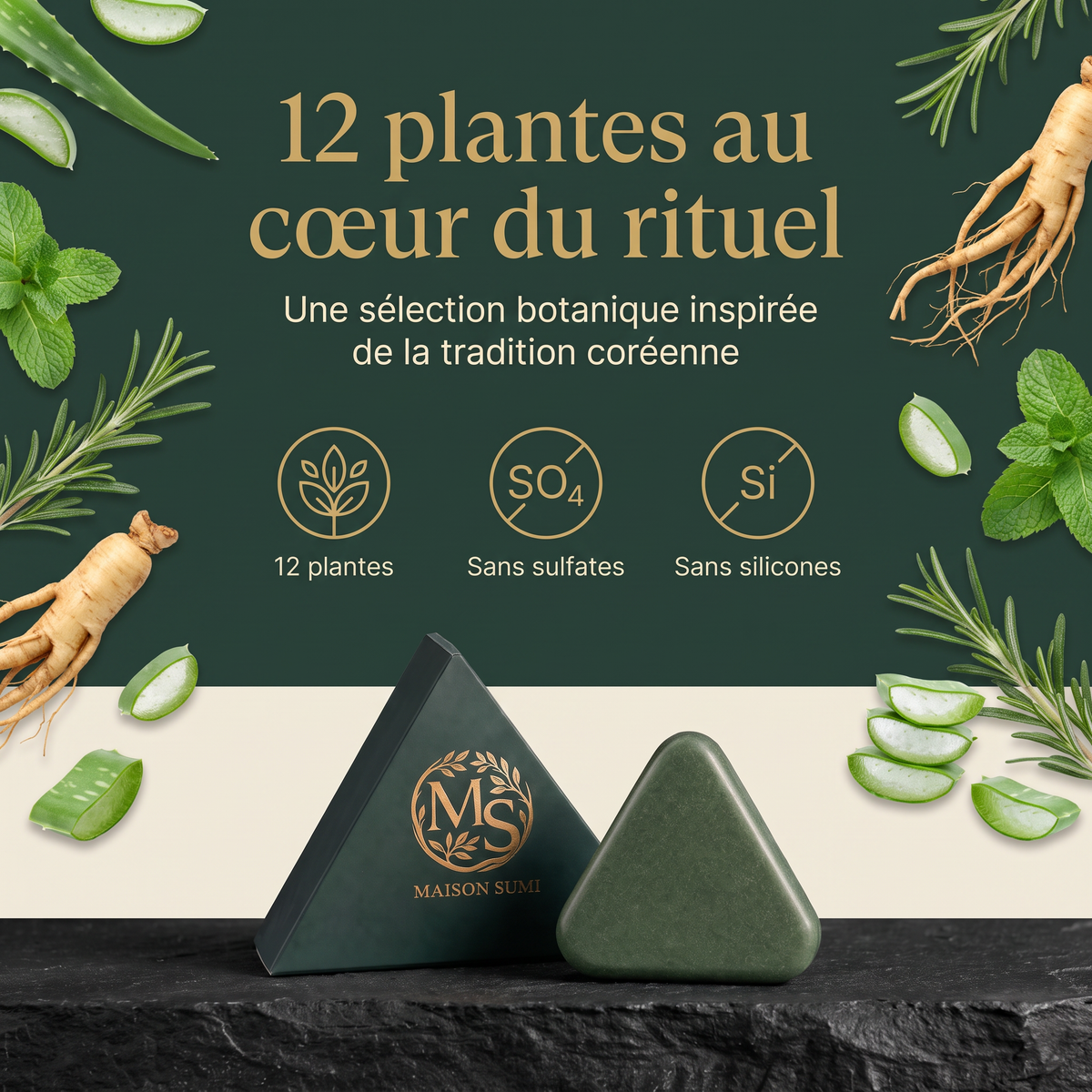 Savon Sumi Anti-Chute| 12 Plantes Coréennes Naturelles